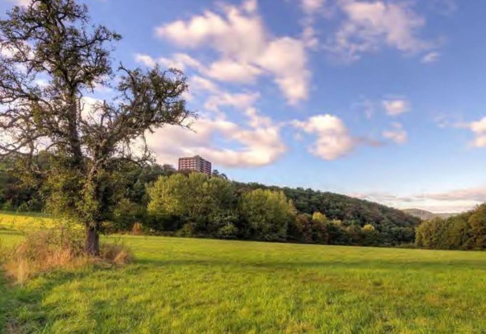 B603, Bezauberndes Appartement Lahnstein Bagian luar foto