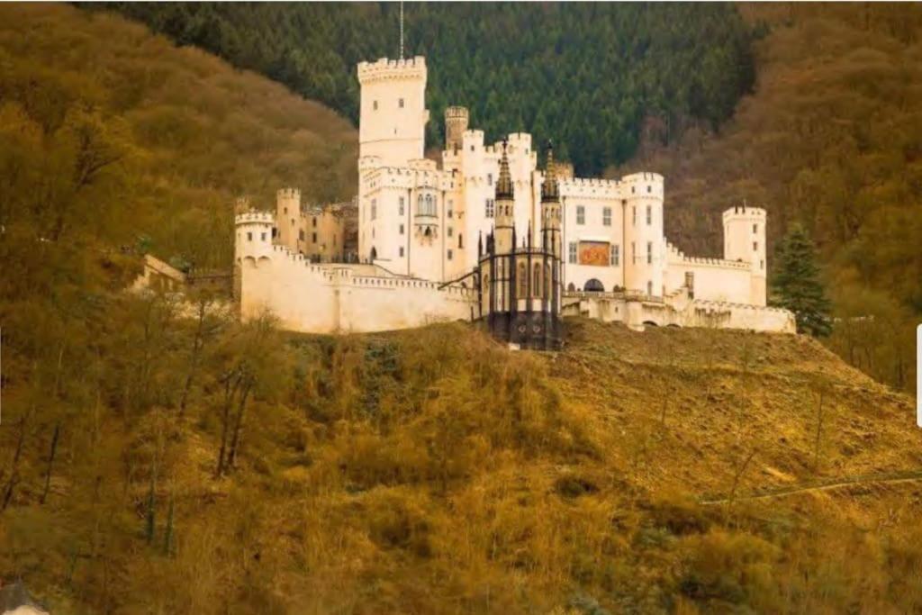 B603, Bezauberndes Appartement Lahnstein Bagian luar foto